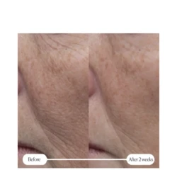 Elemis Pro-Collagen Rose Marine Cream 3 Elemis Pro-Collagen Rose Marine Cream - Image 3